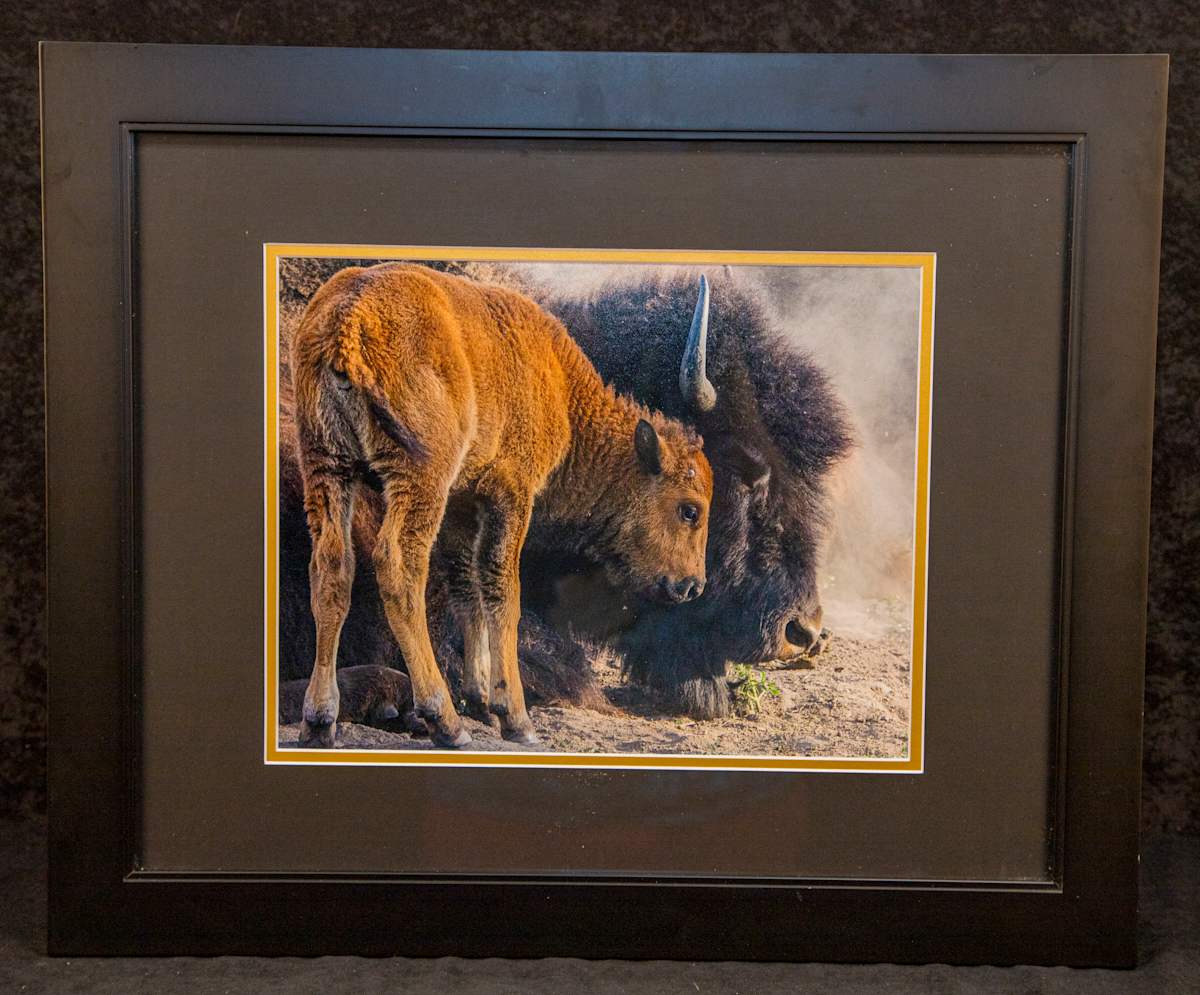 A Tender Moment - Minneopa State Park by Eileen Sabes 