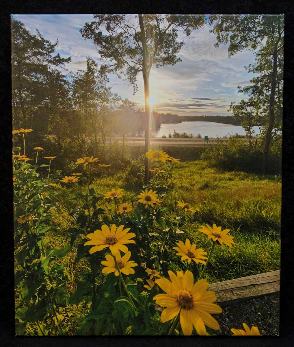 Golden Wild Flowers by Kayla Schroeder, Image 4.