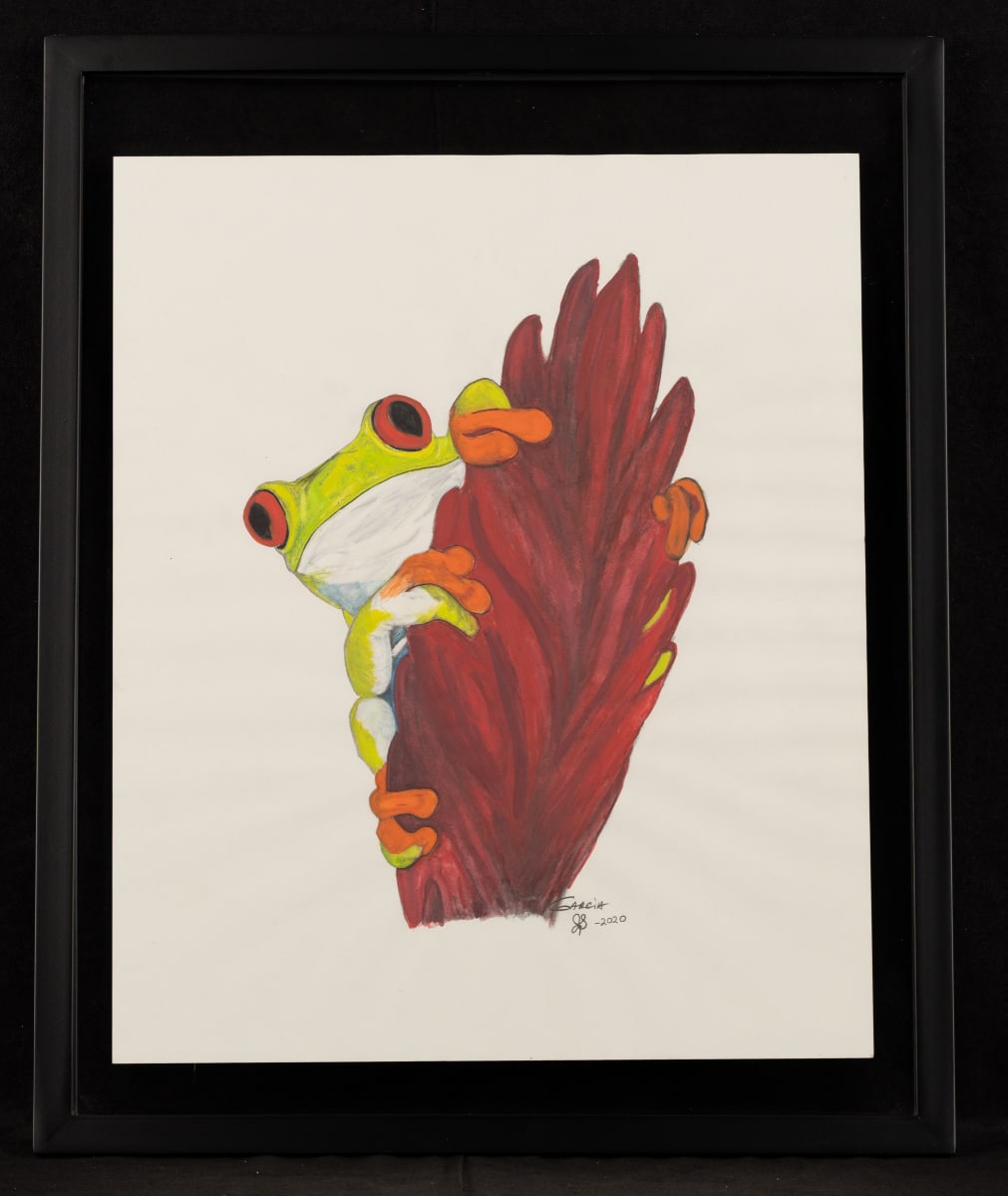 Agalychnis Callidryas by Jennifer Simmons 