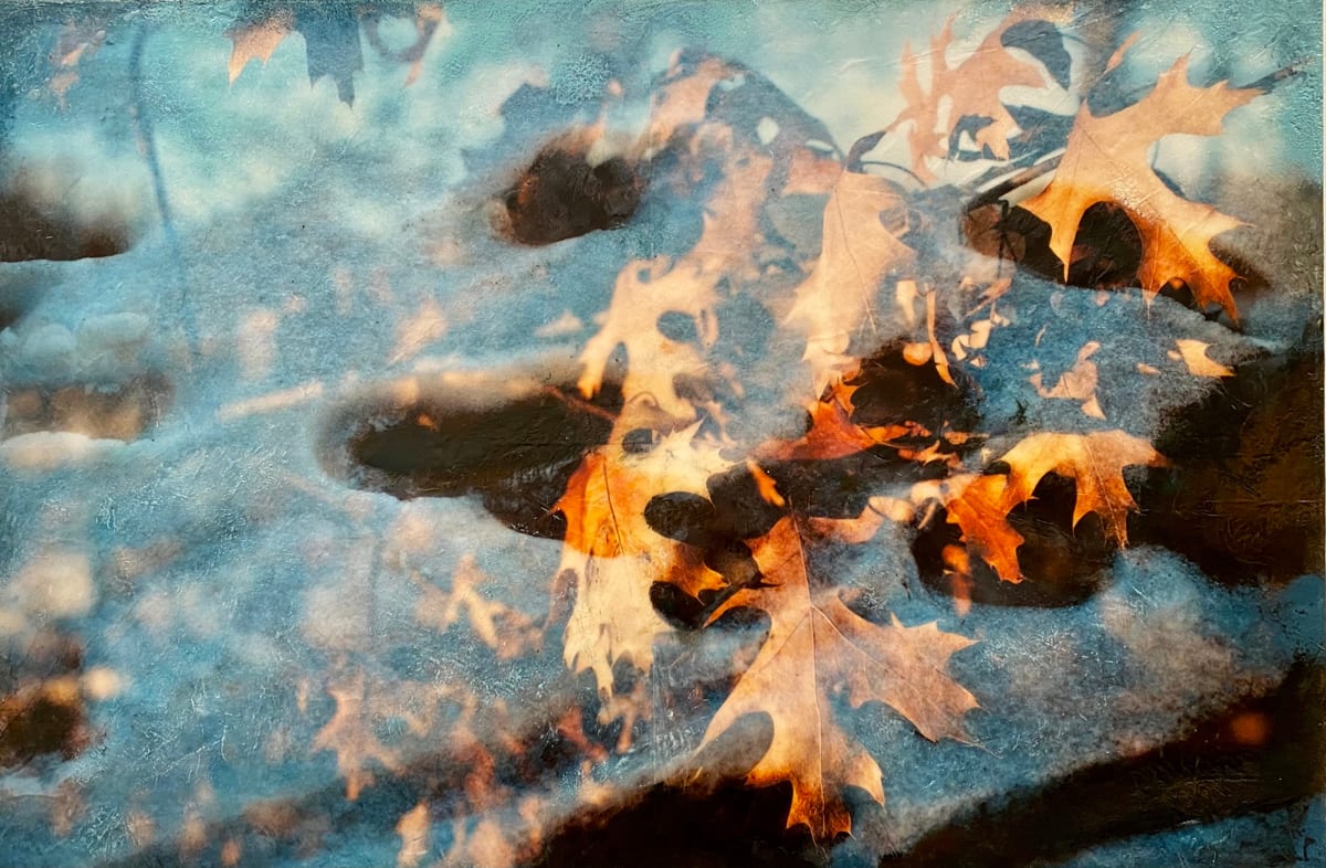 A Different View by Jodi Reeb  Image: Transitions