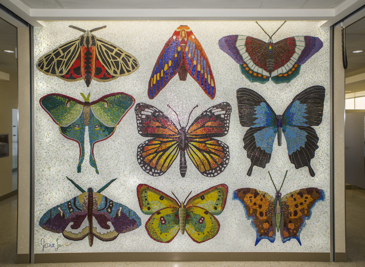 Minnesota Lepidoptera by Josie Lewis 