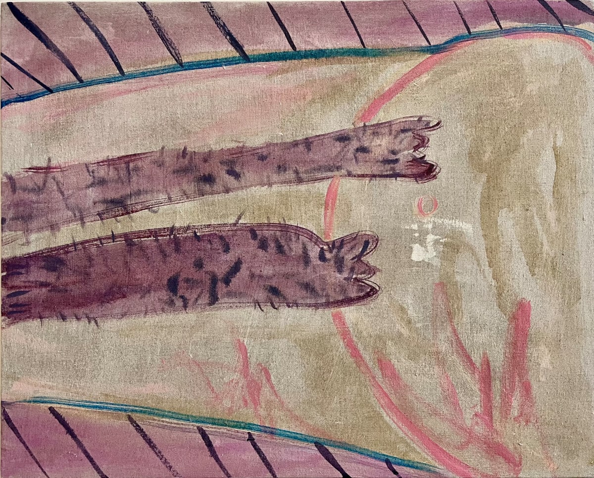 Cat Belly Baby by Stephanie Eche 