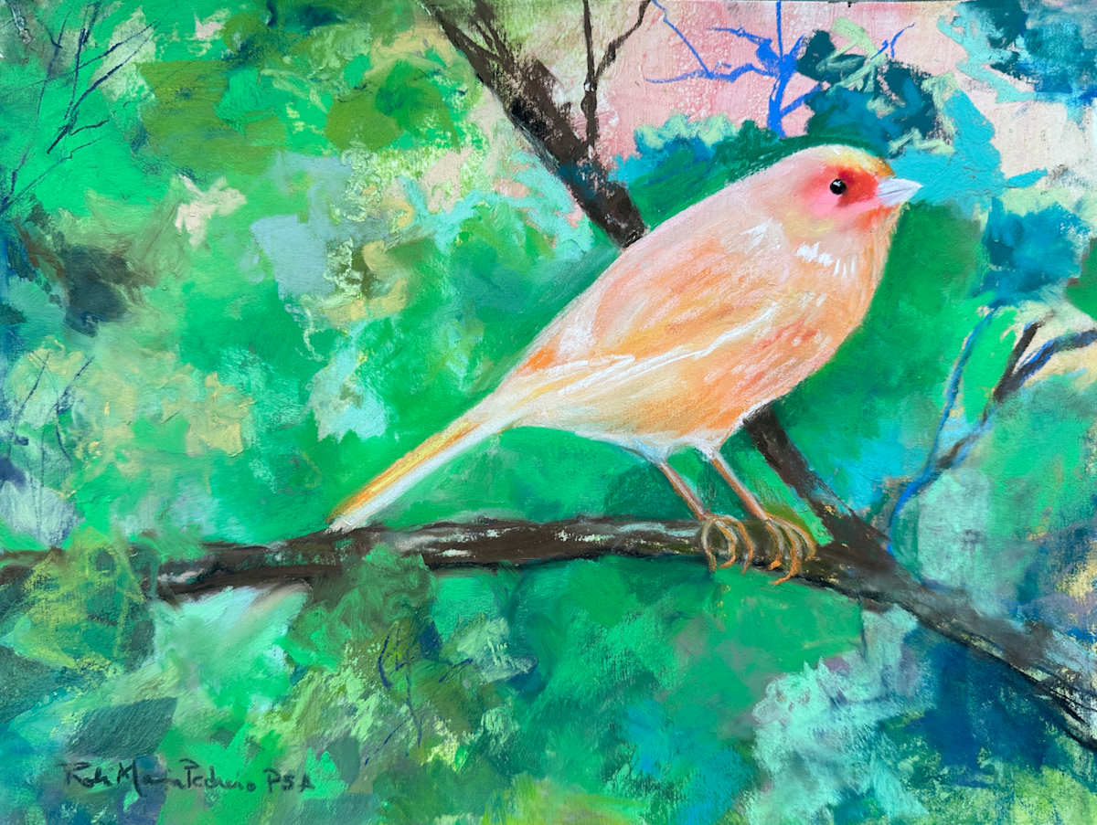 Red Factor Canary by Robin Maria Pedrero 