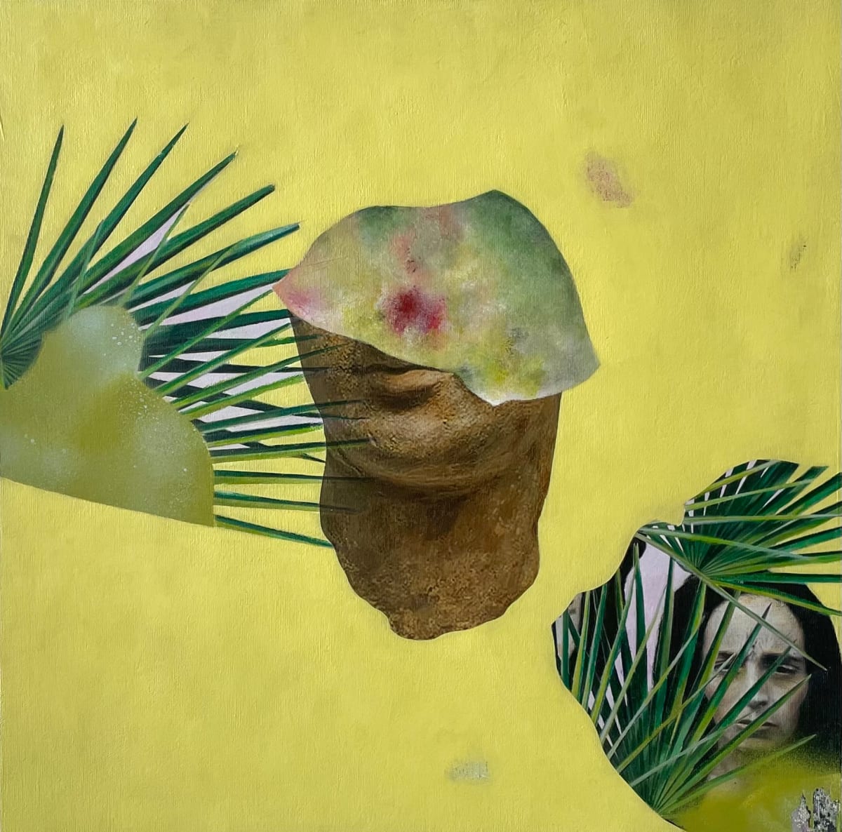 Beyond the Beauty by Andrea Mindell Cohen 