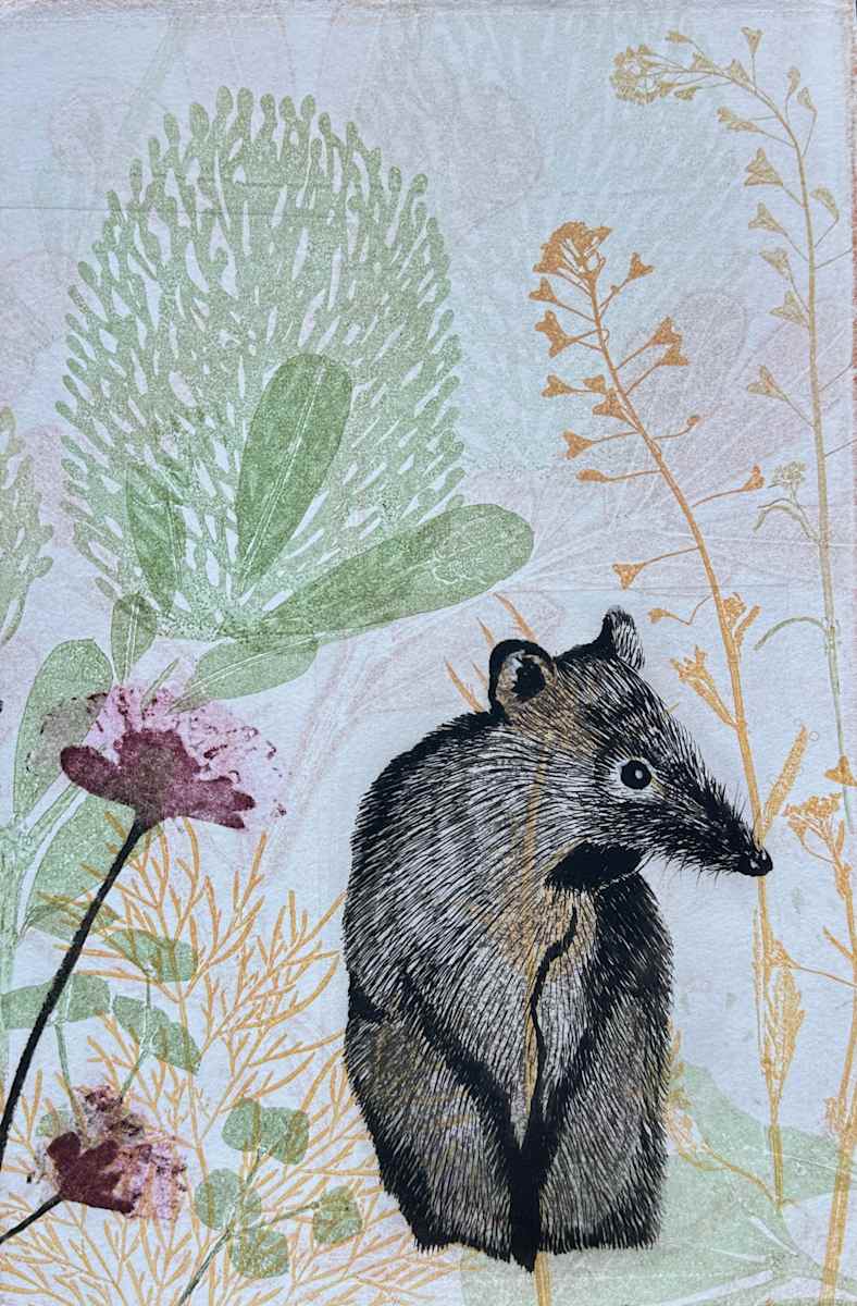 Bandicoot (unframed) by Trudy Rice, Image 1.