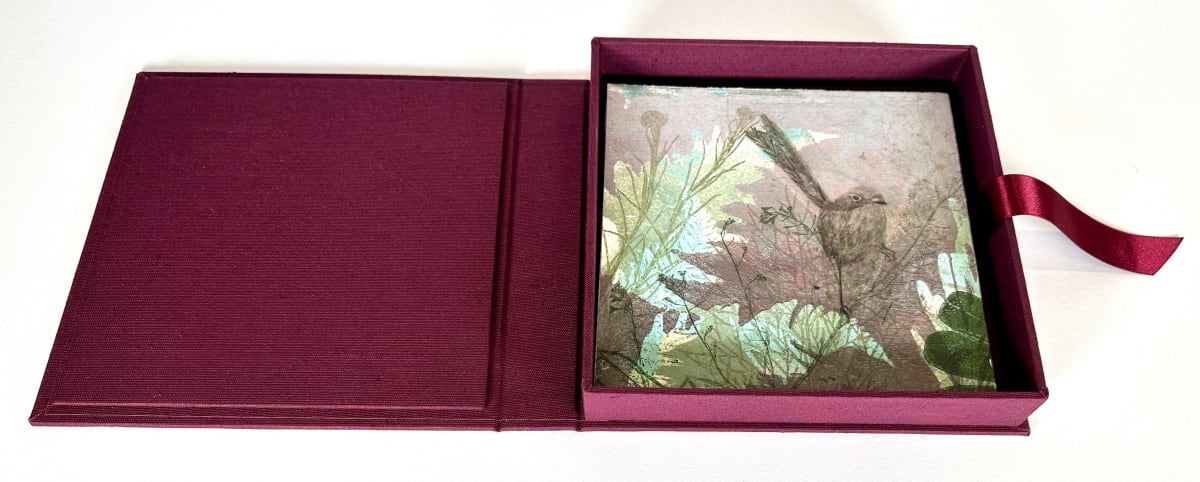 My Garden of Wrens II by Trudy Rice  Image: Artist Book in Solander Box