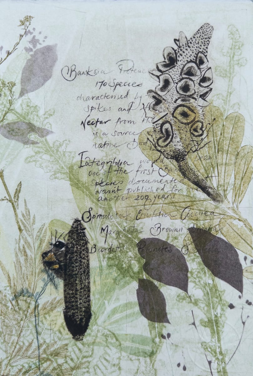Native Bee in the Banksias (with Text) by Trudy Rice 