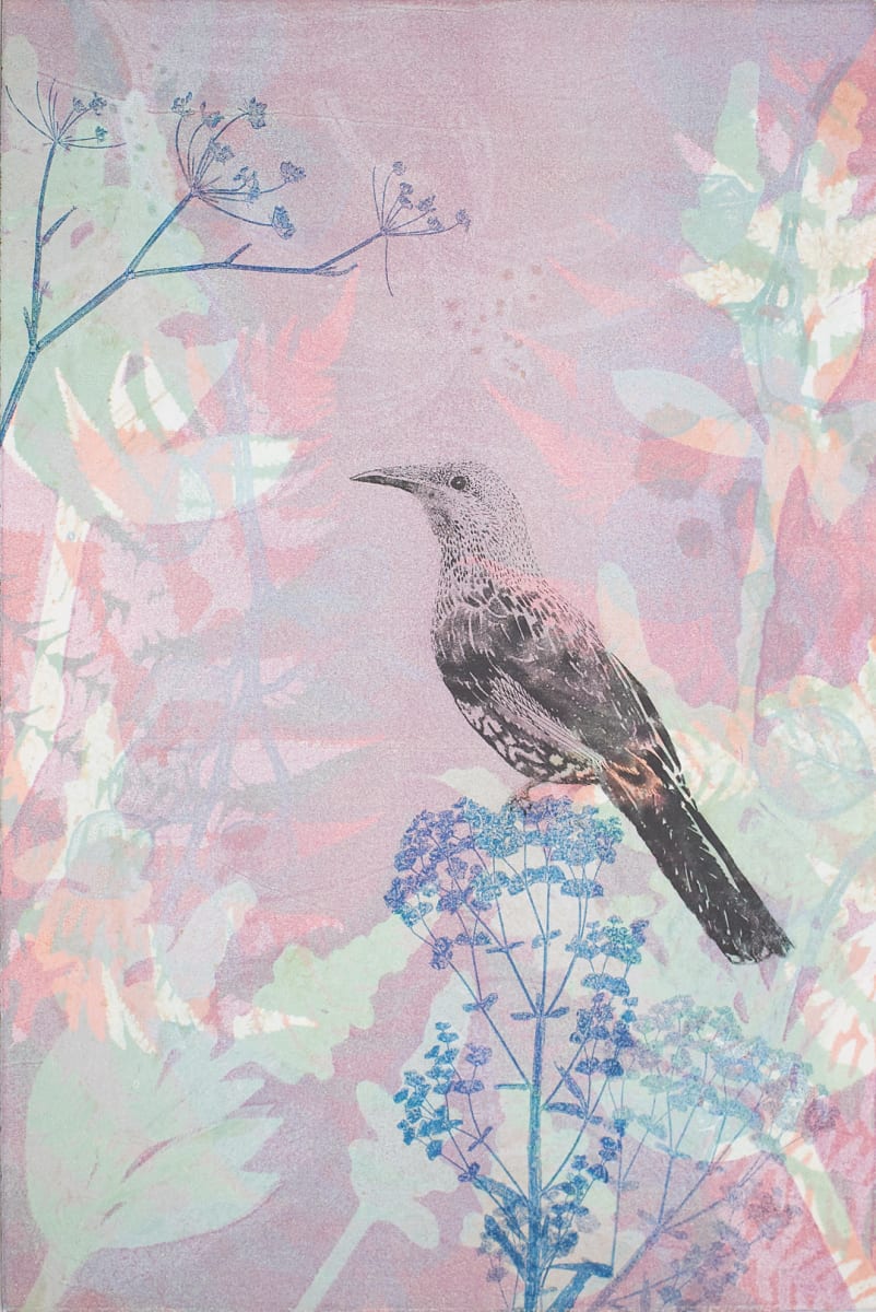The Wattlebird visiting at Dusk (unframed) by Trudy Rice 