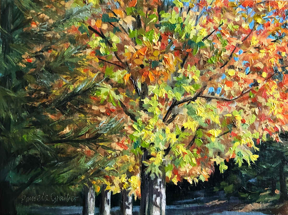 Next Door Maple by Pamela Grabber, Image 1.