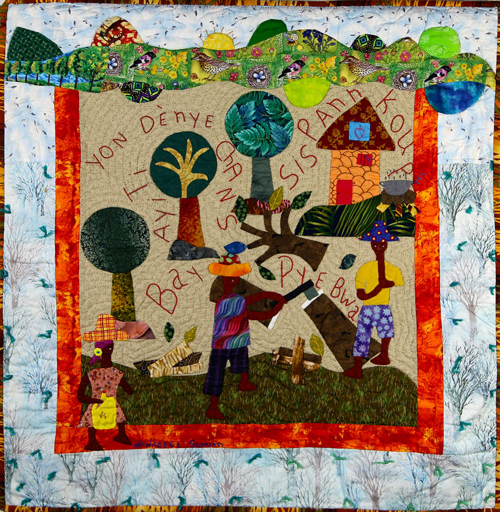 Haiti Has One Last Chance To Save the Trees - Bay Ayiti Yon Dènye Chans Sis Pann Koupe Pye Bwa by Nadege Florian 