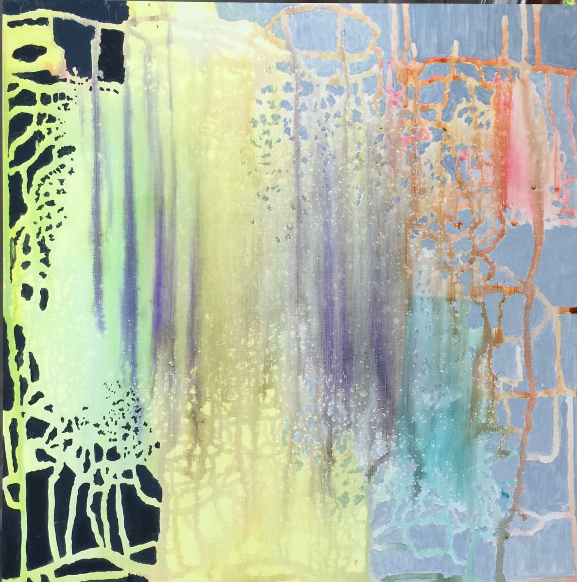 Sunlight and Seaweed 