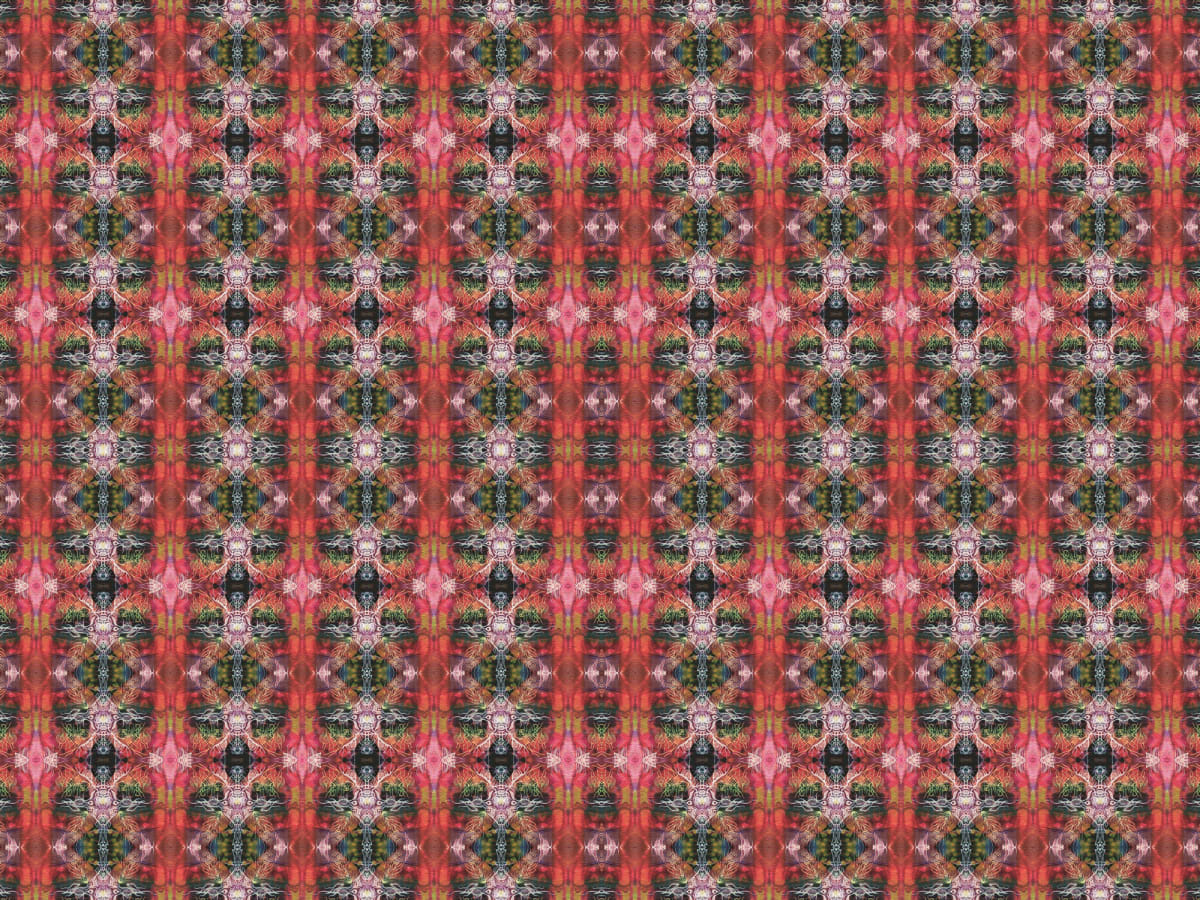 Adhissam Carpet, Image 2.