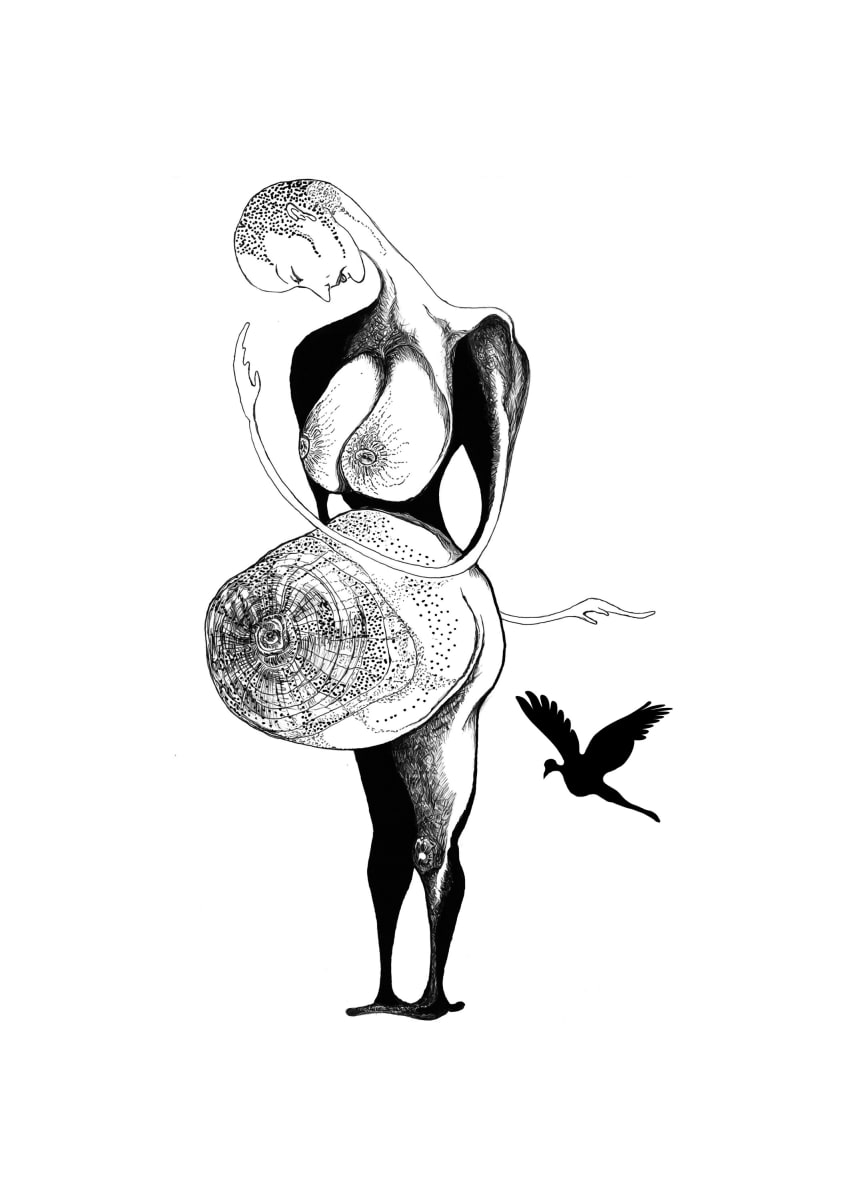 As If 1, Image 1.