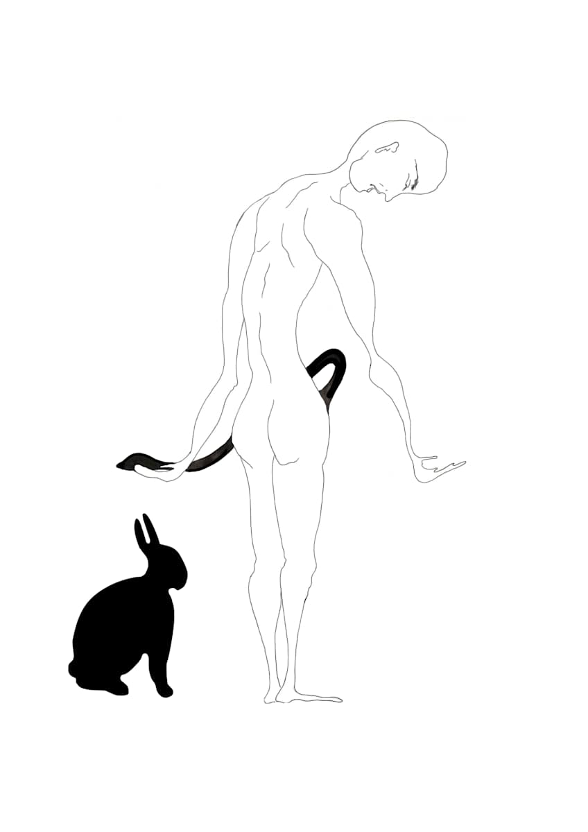 As If 2, Image 1.