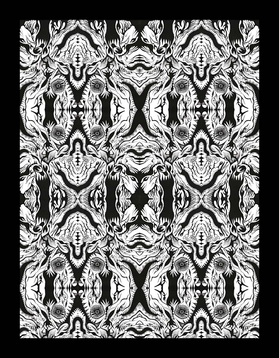 Attack from the Deep Tapestry, Image 2.