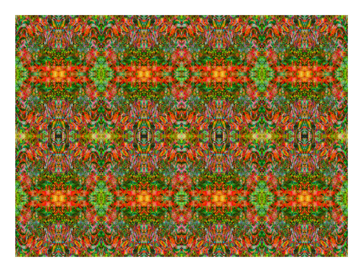 Awakening Meadows, Image 2.