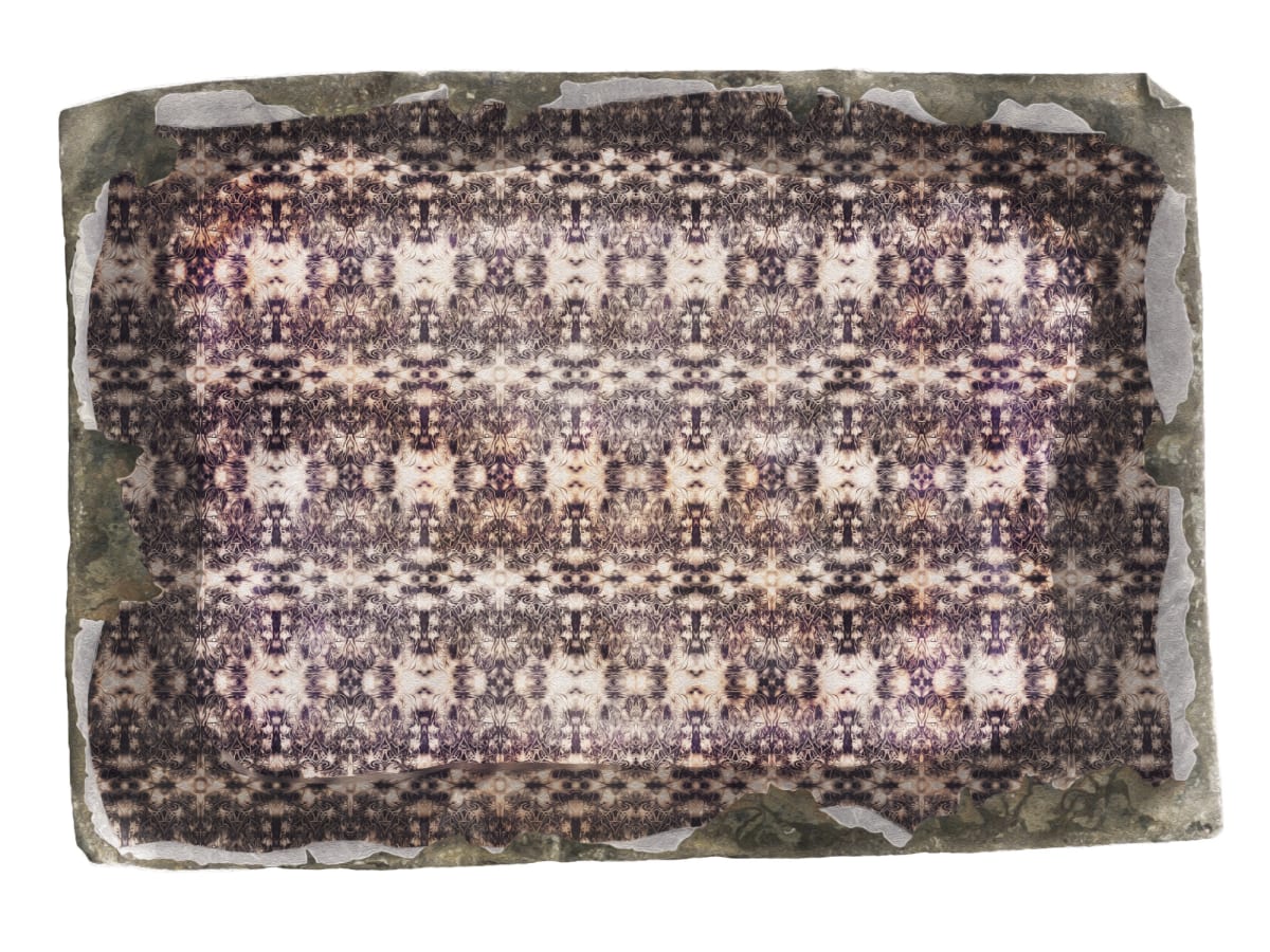 Battle for the Survival of Meaning, Image 3.