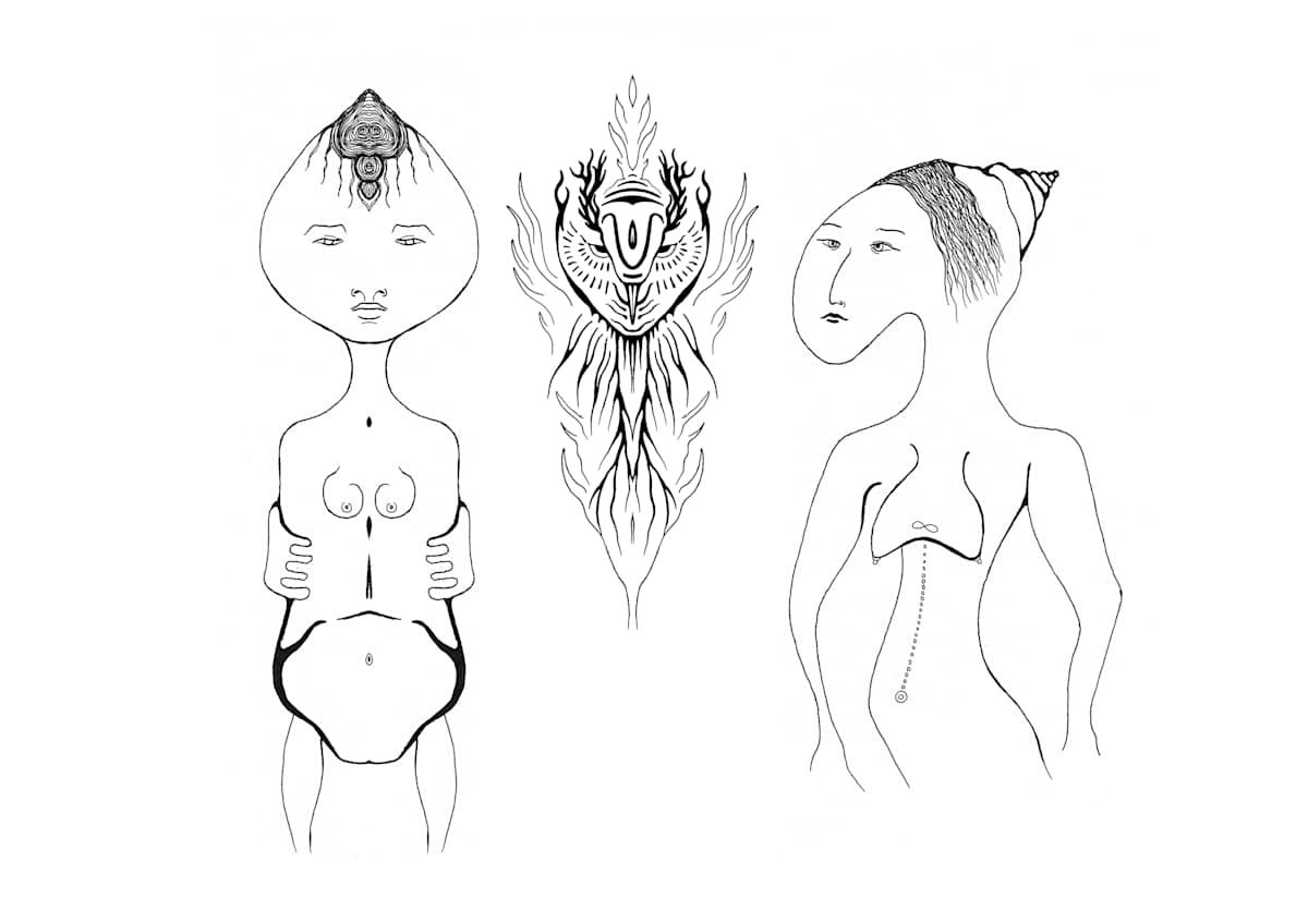 Bony Eule, Image 1.