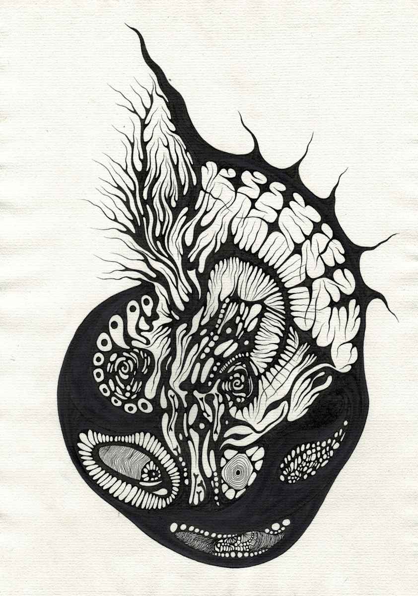 Burning Shell, Image 1.