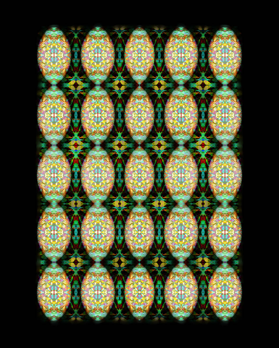 Cellular Vases, Image 1.