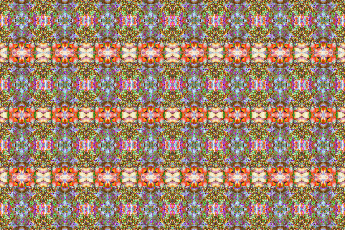 Colonnes du regard rose, Image 2.