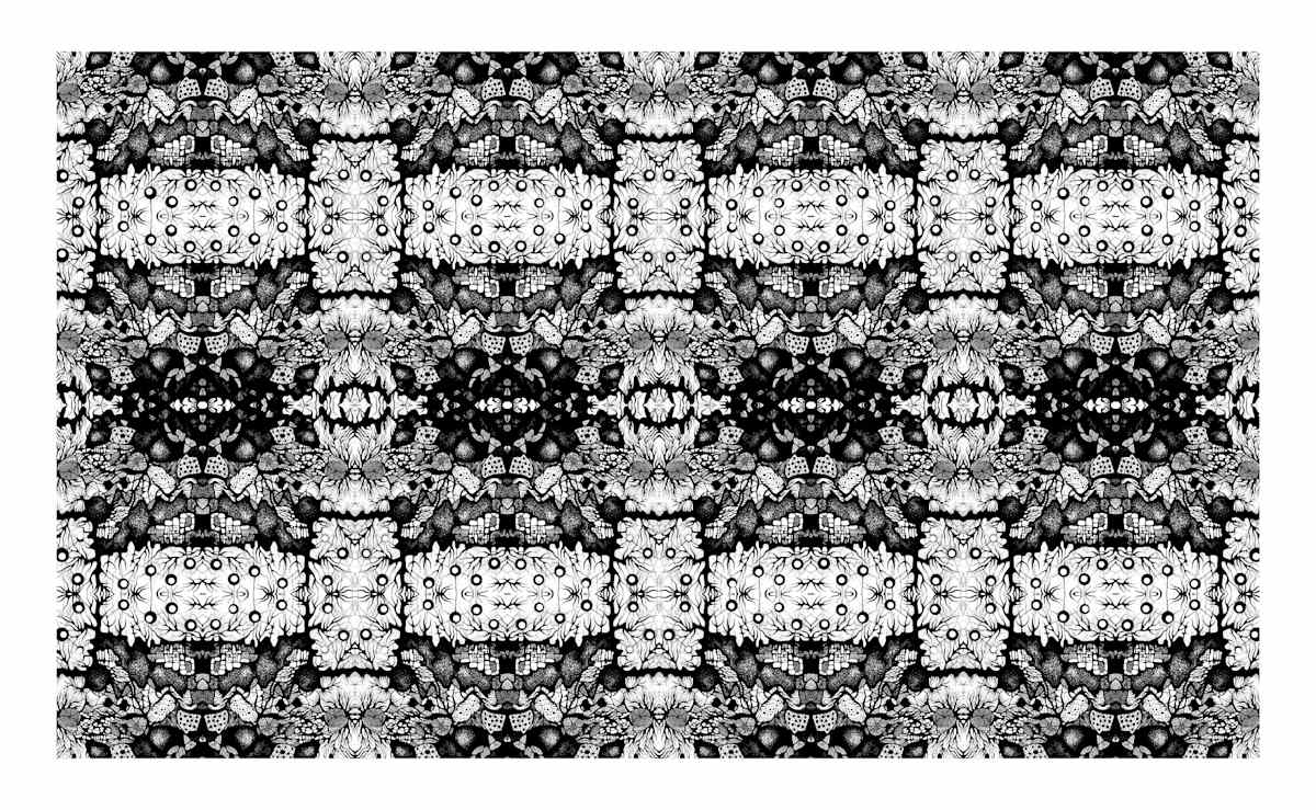 Cryptic Arabesque 1, Image 2.