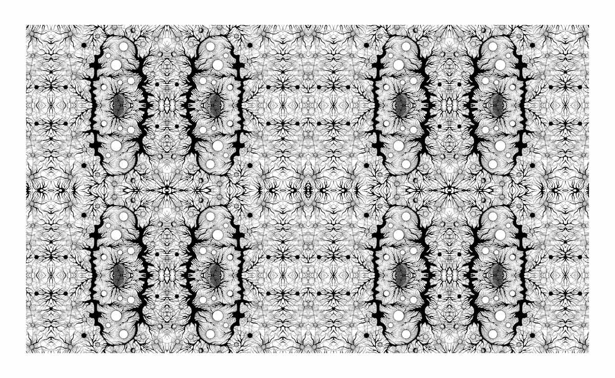 Cryptic Arabesque 2, Image 2.