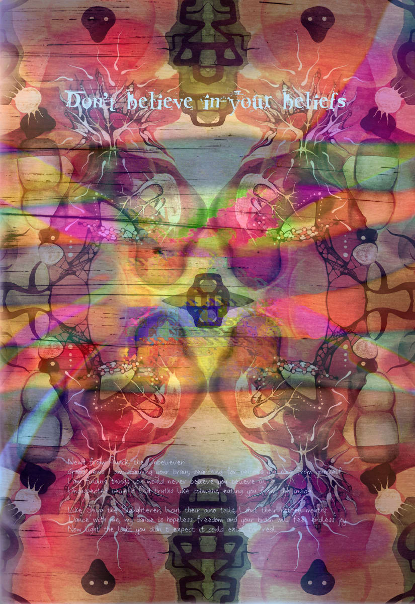 Don't Believe in Your Beliefs 2, Image 1.