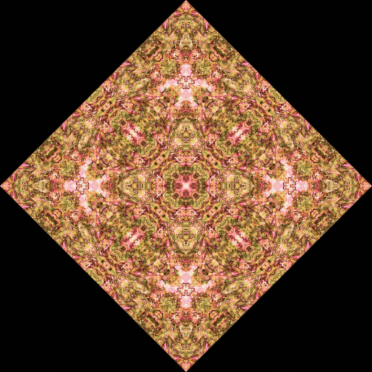 Forest Opening Tile, Image 1.