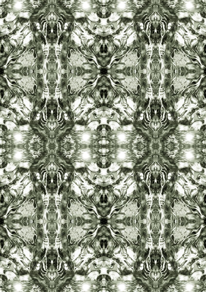 Gli alberi dell'indovina, Image 2.