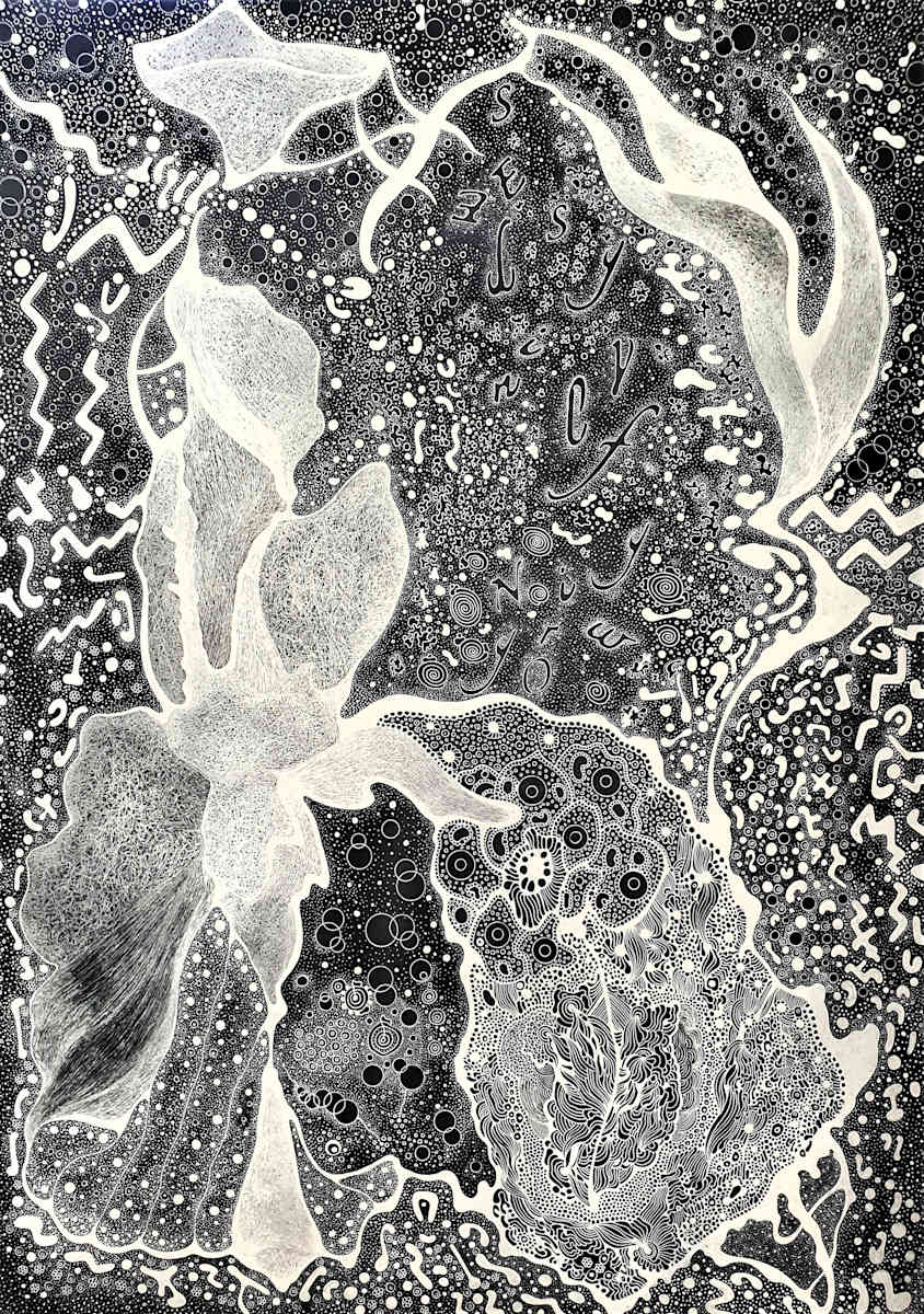 Growing Flying Seeds by Vicky Scher, Image 1.