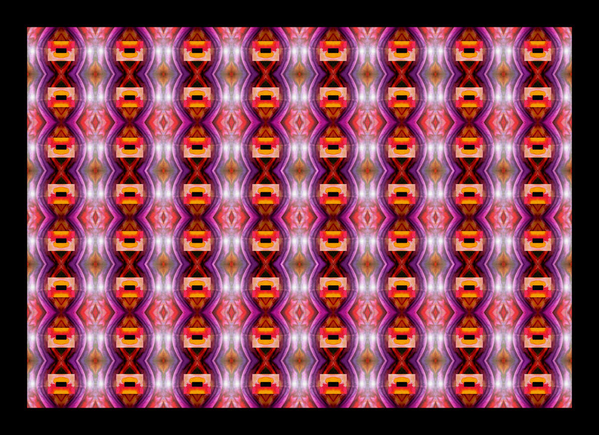 Hariri Pattern, Image 2.