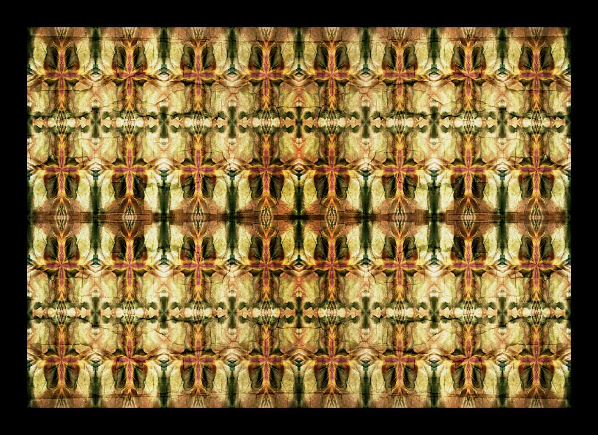 Hidden Manuscript, Image 2.