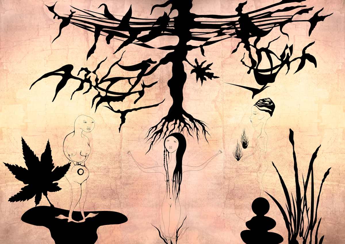 Holy Roots, Image 1.