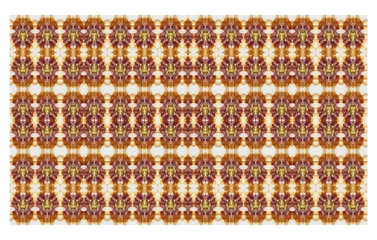 Home of the Living Bones, Image 2.