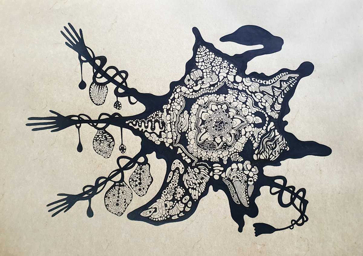 Hungry Sea Star, Image 2.