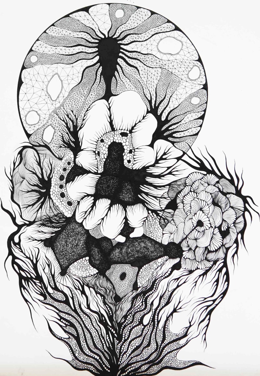 I Am Still Searching 