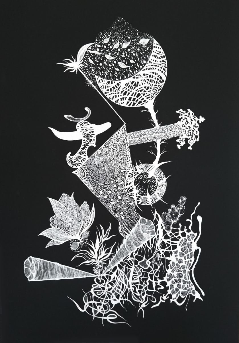 I primi accordi di una musica nuova, Image 2.