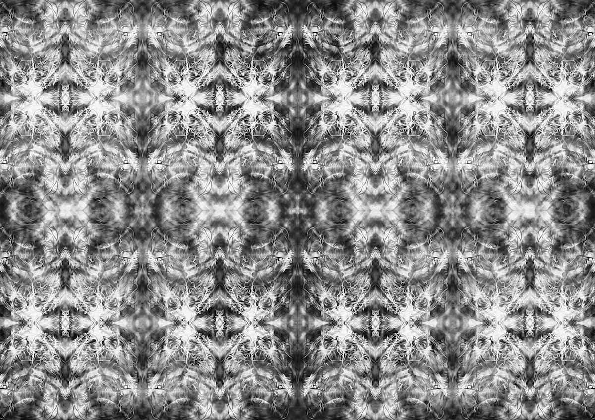 Ideogrammi Talismano, Image 2.