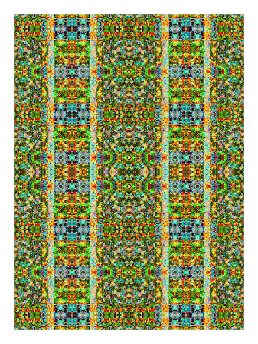 Informing Ladder, Image 2.
