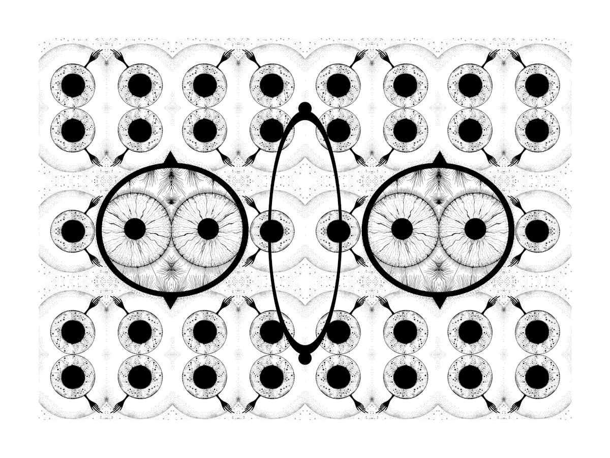 Iris Game, Image 2.