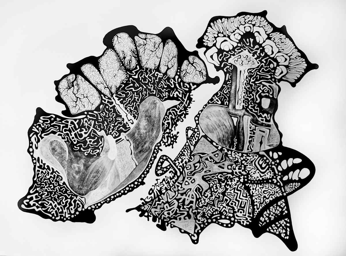 L'uccello muto 2, Image 2.