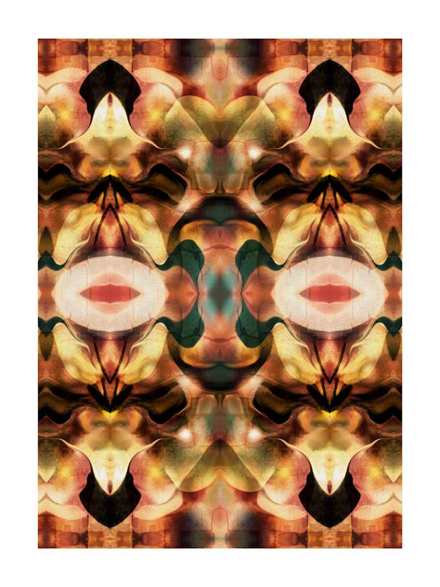 May Tissue, Image 2.