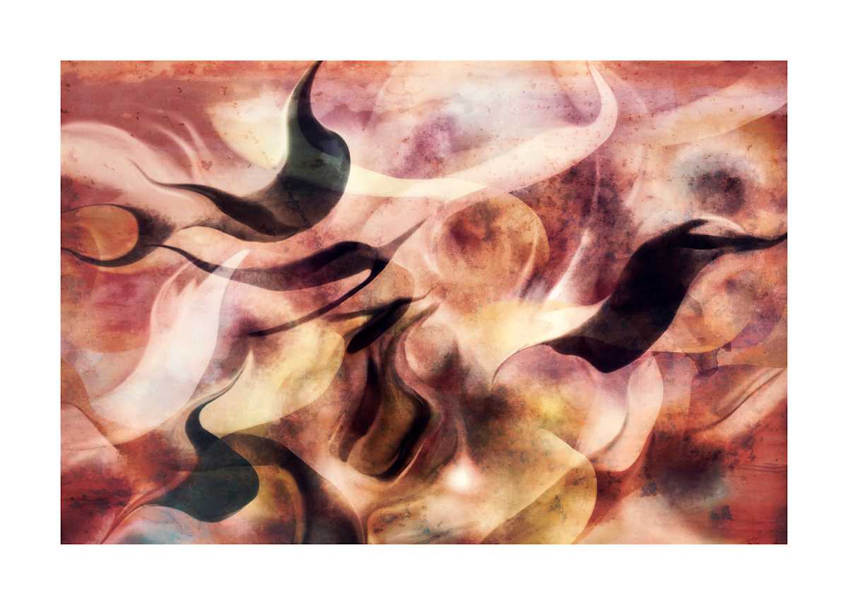 May, Image 1.