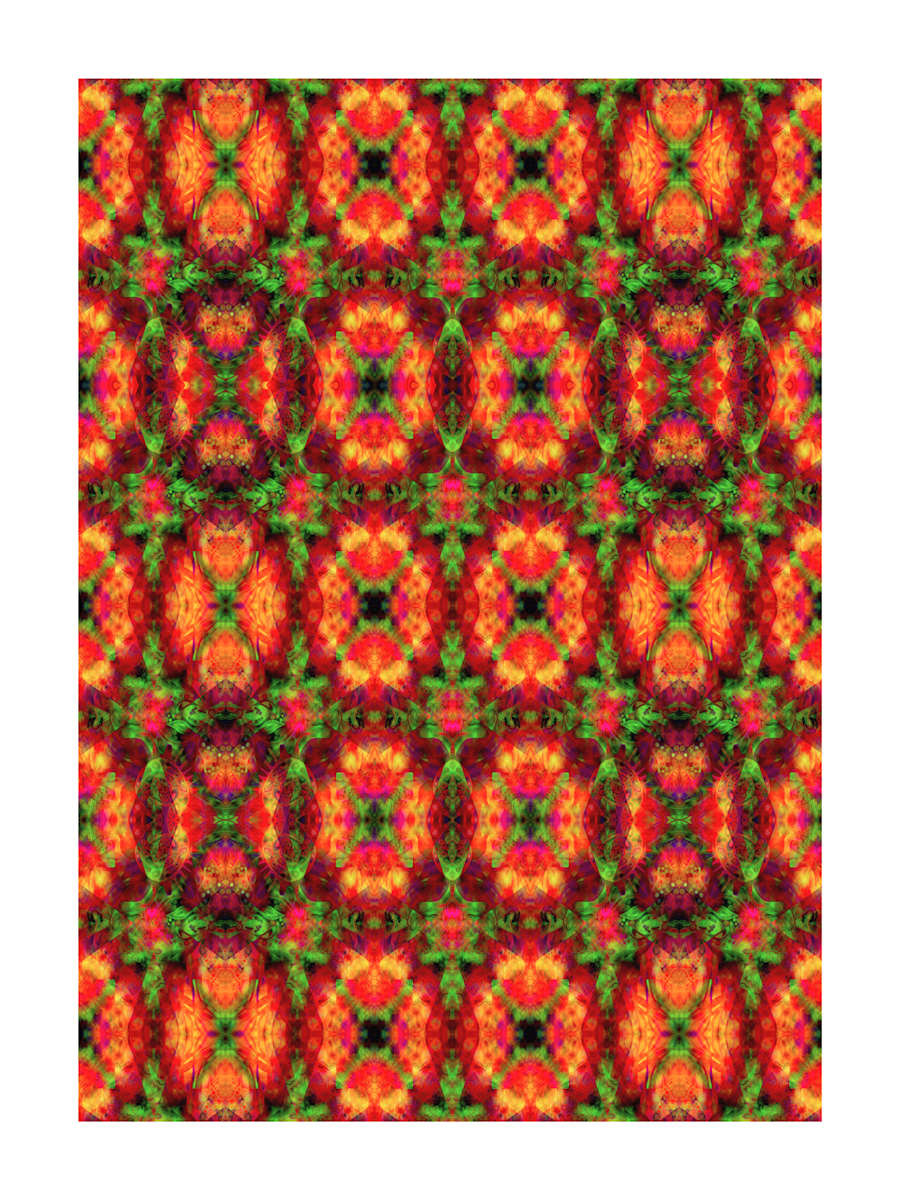 Mutating Windows, Image 2.