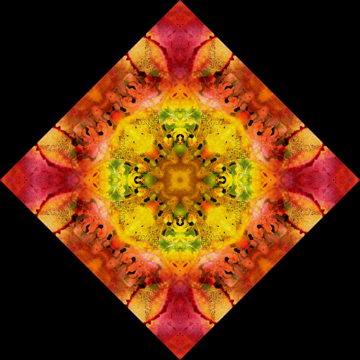 Mysterious Seed Tile, Image 1.
