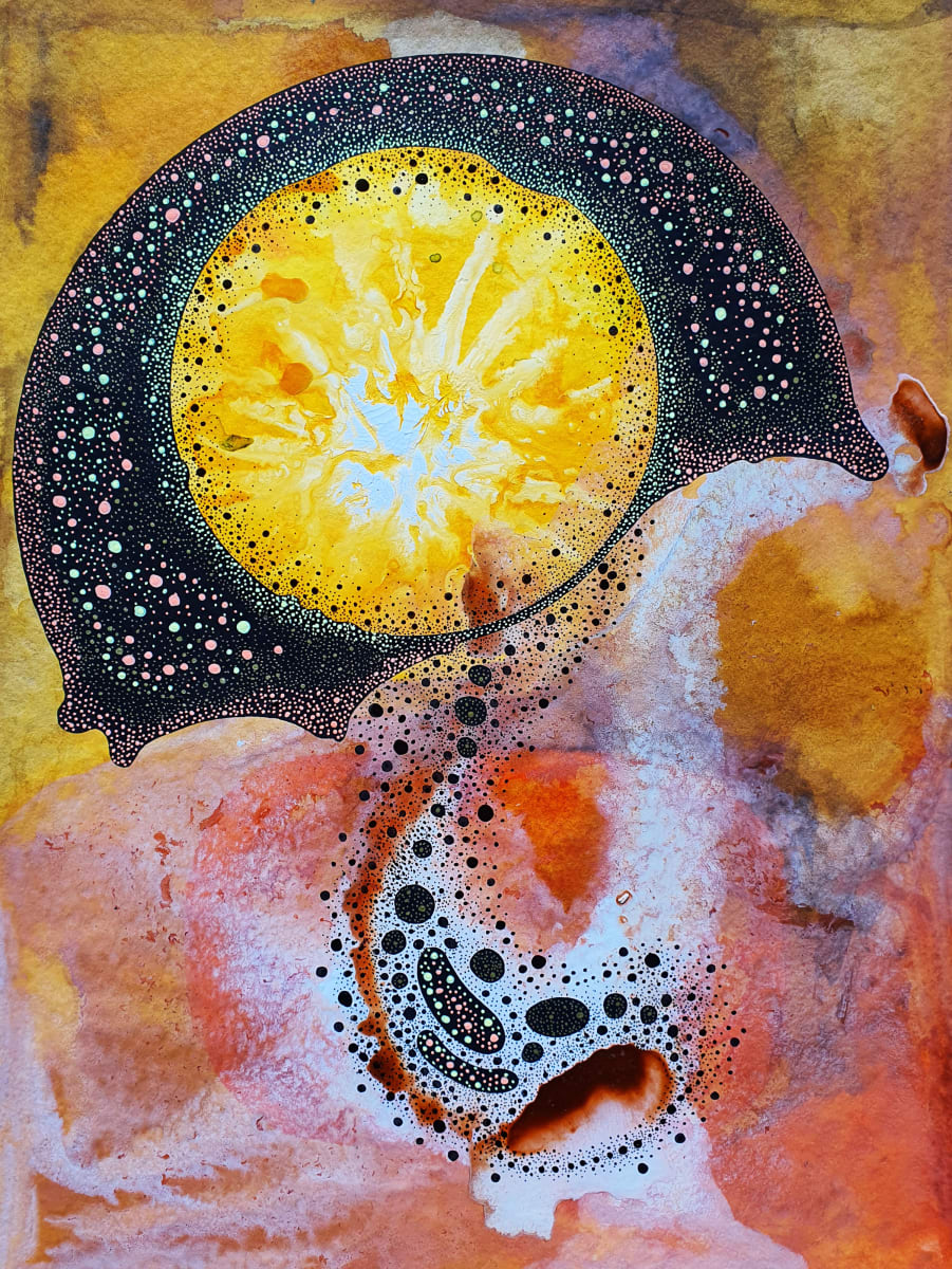Mysterious Seed, Image 2.