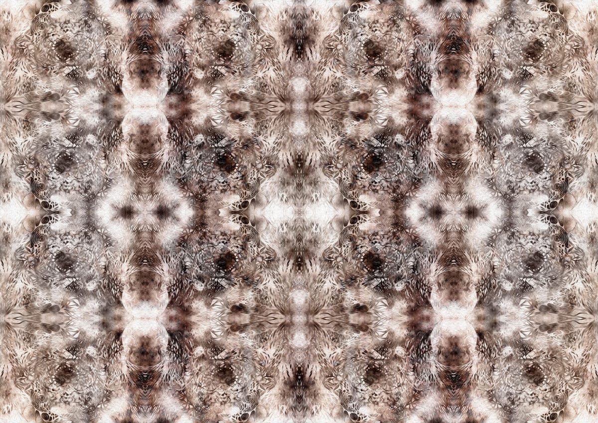 Network Forest 