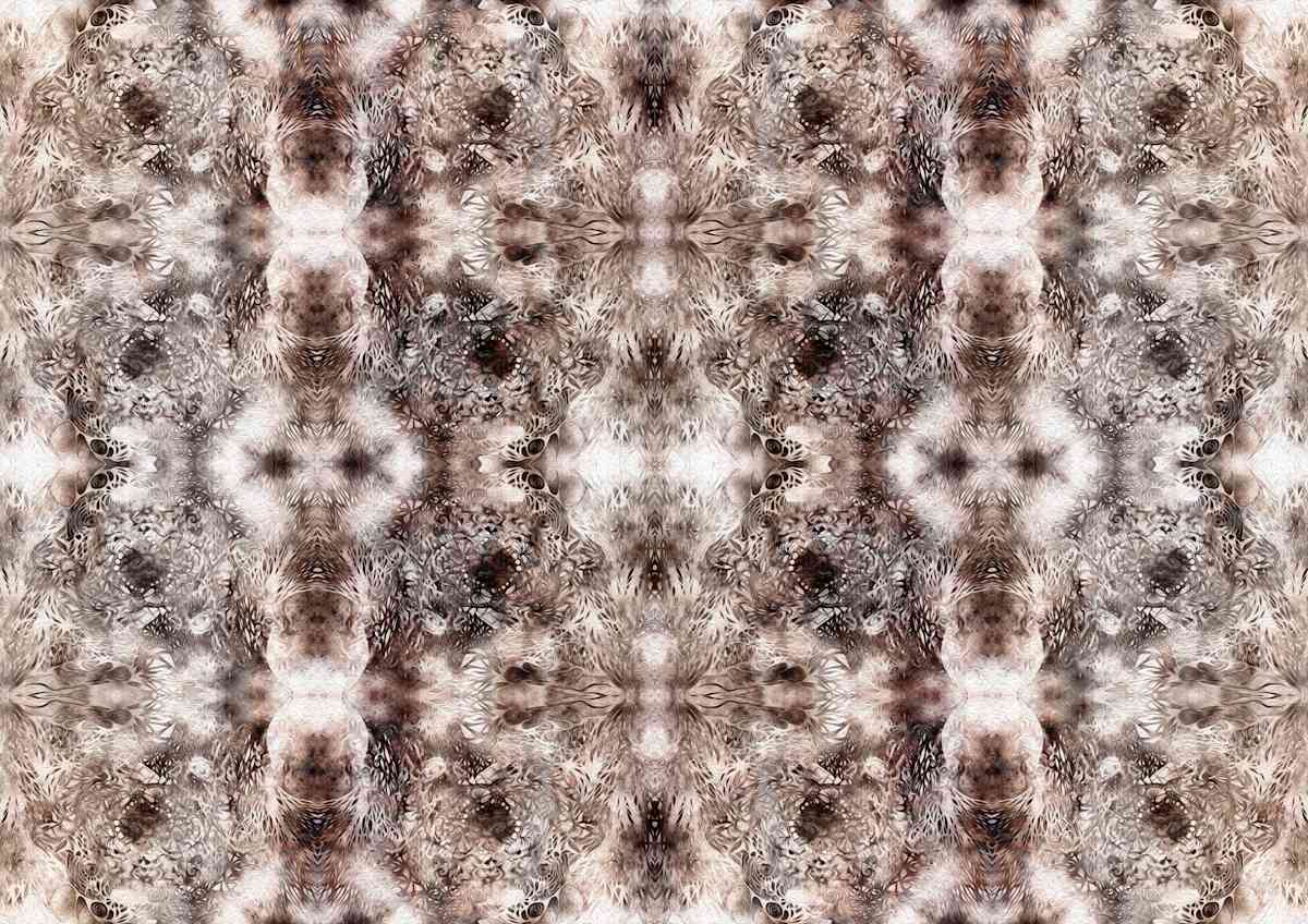 Network Forest, Image 2.
