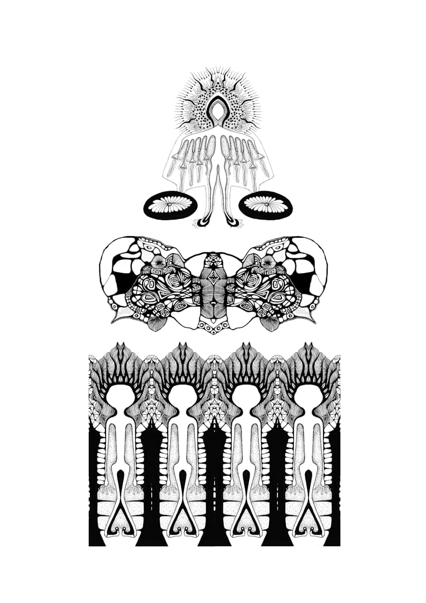 New Old Bones, Image 1.